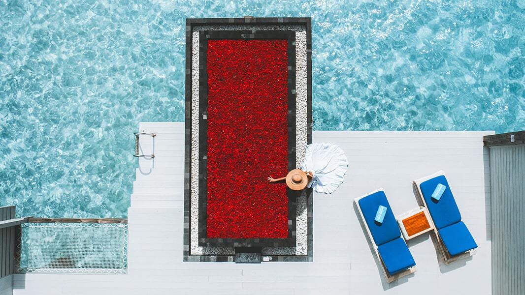 Accor_Gallery_04-min